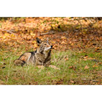 NJCS: Shoot, Process, and Print Your Landscape Photos w. Rob Sylvan (Canon) 7