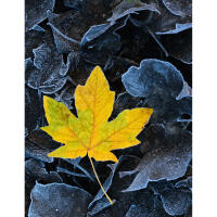 NJCS: Shoot, Process, and Print Your Landscape Photos w. Rob Sylvan (Canon) 8