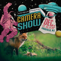 NJCS: Foxes, Owls, and Bears... Oh My! with Bobby Stormer 0