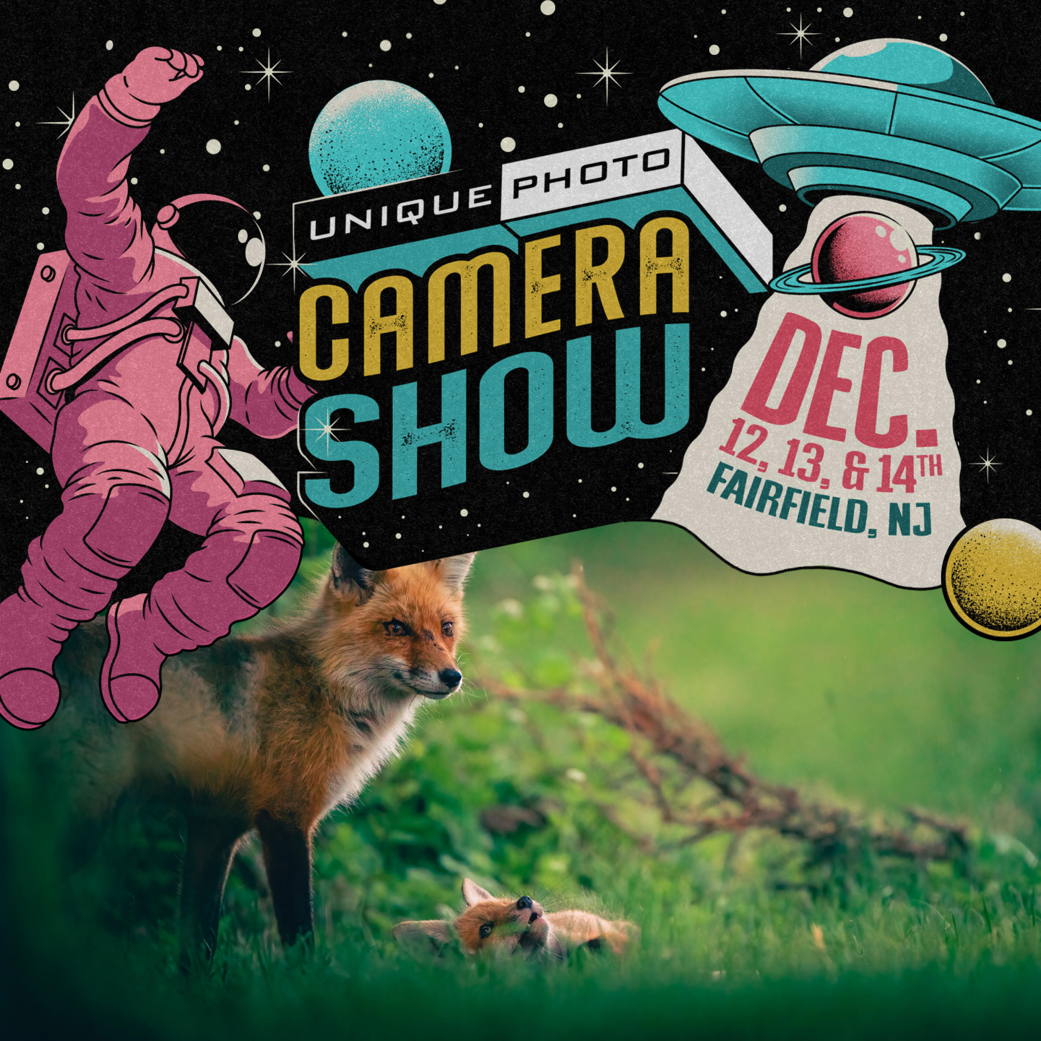 NJCS: Foxes, Owls, and Bears... Oh My! with Bobby Stormer