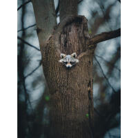 NJCS: Backyard Wildlife Photography with Bobby Stormer 3