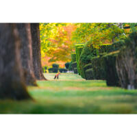 NJCS: Backyard Wildlife Photography with Bobby Stormer 7