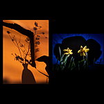 CS: Creative Collaboration with Katrin Eismann (Sony) 2