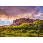 CS: Capitol Reef National Park with Imma Barrera 1