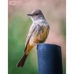CS: Capitol Reef National Park with Imma Barrera 4