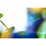 CS: Experimental Photography Sampler with Heather Palecek 1