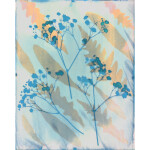 CS: Experimental Photography Sampler with Heather Palecek 3