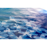 CS: Experimental Photography Sampler with Heather Palecek 5