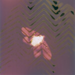 CS: Experimental Photography Sampler with Heather Palecek 8