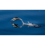 CS: International Photo Trips with Temu Nana and Open Sky Expeditions 2