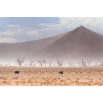 CS: International Photo Trips with Temu Nana and Open Sky Expeditions 6