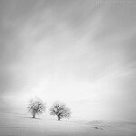 CS: Infrared Photography with Thibault Roland (Sony) 2