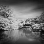 CS: Infrared Photography with Thibault Roland (Sony) 3