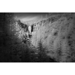 CS: Infrared Photography with Thibault Roland (Sony) 5