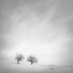 NJCS: The Art of Black and White Photography with Thibault Roland (Sony) 1