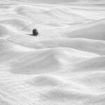 NJCS: The Art of Black and White Photography with Thibault Roland (Sony) 2