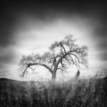 NJCS: The Art of Black and White Photography with Thibault Roland (Sony) 6
