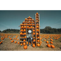 NJCS: Cinematic Worlds - Building Stories Workshop with Karen Jerzyk 10