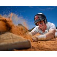 NJCS: Beyond the Lens - Elevate Your Brand with Dani Mack (Westcott) 4