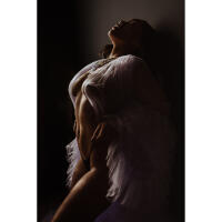 NJCS: Part II - The Art of Boudoir Live Shoot with Kiati Plooks (Westcott) 1