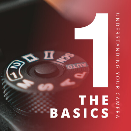 Understanding Your Camera I: The Basics