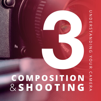 Understanding Your Camera III: Composition  and  Shooting