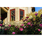 Hoboken Photowalk with Sony Artisan Katrin Eismann (Sony) 1