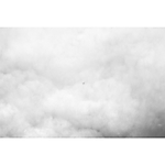 UUOnline (Free): Half Hour Photo Talk with Todd Lauther 4