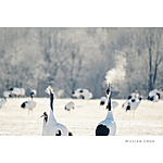 UUOnline (Free): Fujifilm X-T4 First Look with John Haggerty 2