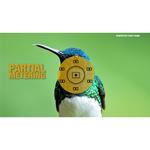 UUOnline: Understanding Your Camera II and III 3