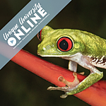 UUOnline: Macro to the Next Level with Roman Kurywczak 0