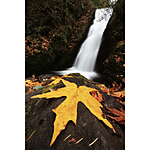 UUOnline: Wild, Wonderful Waterfalls with David FitzSimmons 3