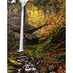 UUOnline: Wild, Wonderful Waterfalls with David FitzSimmons 8