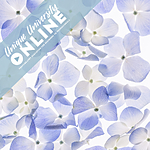UUOnline: Light Box Flower Photography with Padma Inguva 0