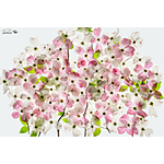 UUOnline: Light Box Flower Photography with Padma Inguva 2