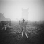 Pinhole Photography Workshop with Heather Palecek (Philly) 1