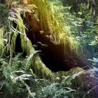 20/20 Photo Festival Field Trip to Frances M. Maguire Art Museum (Philly) 1