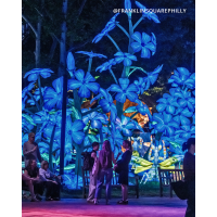 Philadelphia Chinese Lantern Festival Meetup (Philly) 6