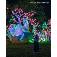 Philadelphia Chinese Lantern Festival Meetup (Philly) 7