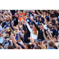 Photograph Villanova Wildcats Football: Ultimate Experience 3