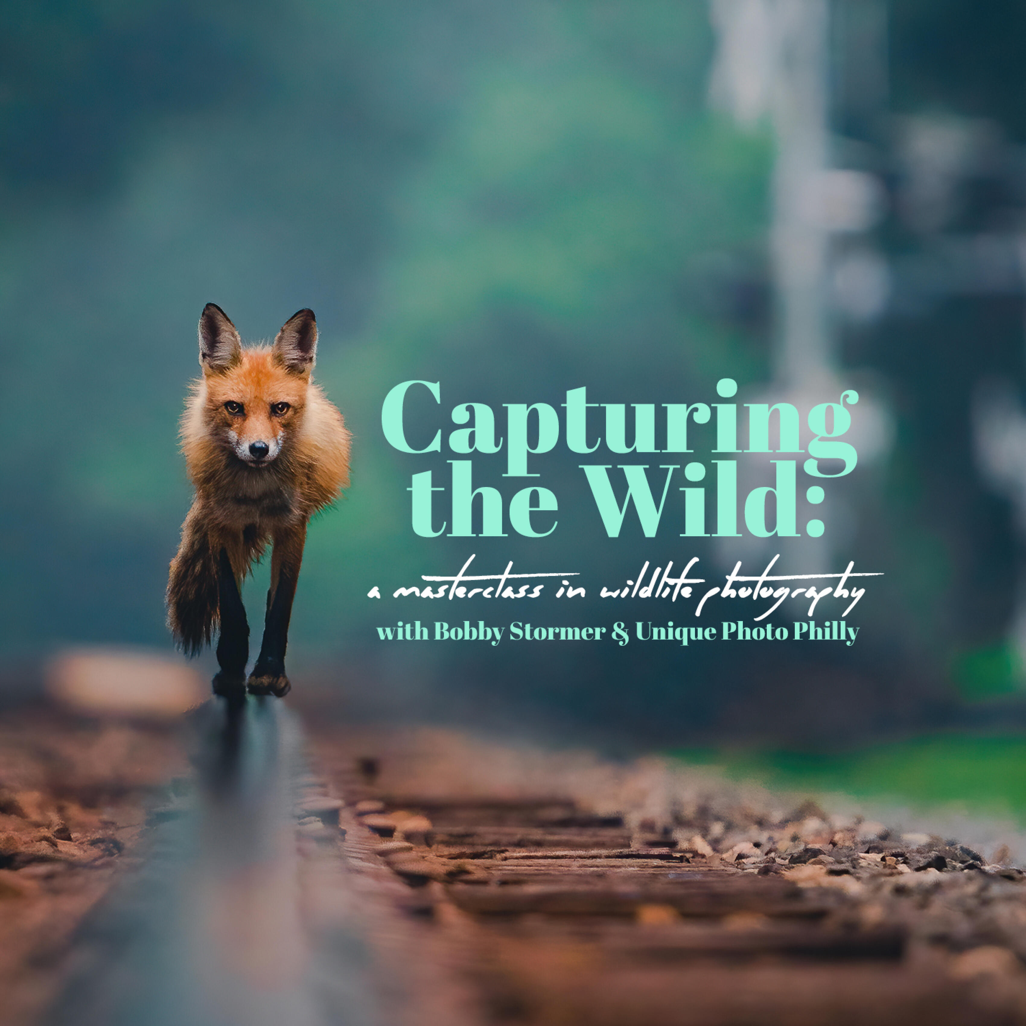 Capturing the Wild: A Masterclass in Wildlife Photography (Philly)