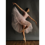 Capturing Dance Movement Through Photography with Steve Vaccariello (Philly) 3