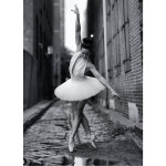 Capturing Dance Movement Through Photography with Steve Vaccariello (Philly) 4