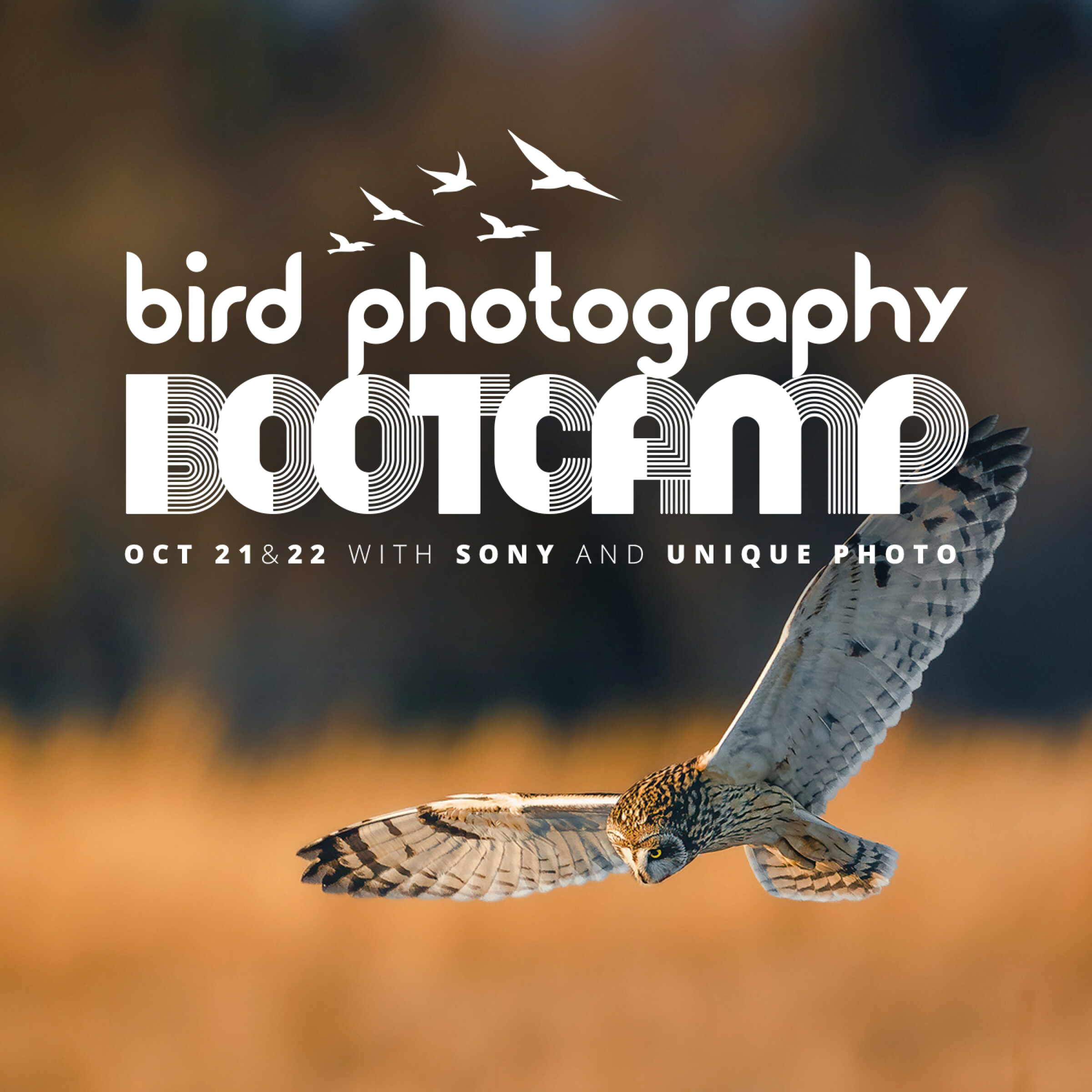 Birding Bootcamp 2024 Sponsored by Sony