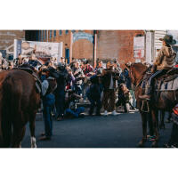 Unique Photo Creators Challenge (Philly) 2