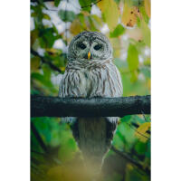 PCS: Wildlife Basics with Bobby Stormer 4