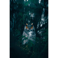 PCS: Wildlife Basics with Bobby Stormer 7