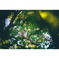 PCS: Wildlife Basics with Bobby Stormer 8