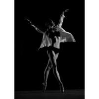 PCS: Capturing Dance Movement with Steve Vaccariello 7