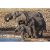 PCS: 2025 International Photo Journeys with Open Sky Expeditions 8